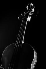 Wall Mural - neck violin close up on a black background