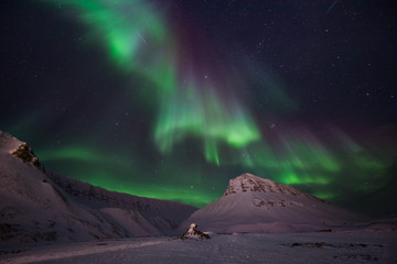 Wall Mural - the polar arctic northern lights aurora borealis sky star in norway travel svalbard in longyearbyen 