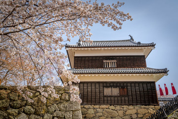 Wall Mural - Ueda Castle during spring