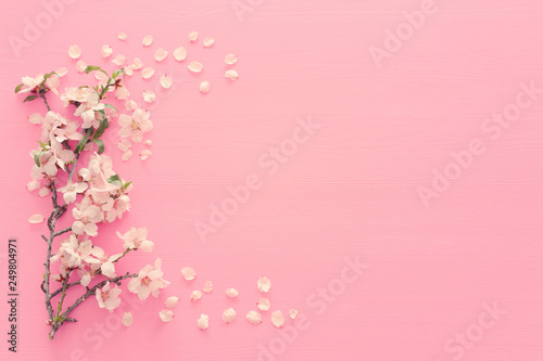 Fotomural photo of spring white cherry blossom tree on pastel pink wooden background