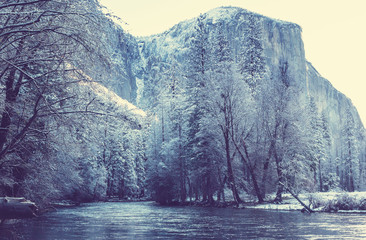 Sticker - Early spring in Yosemite