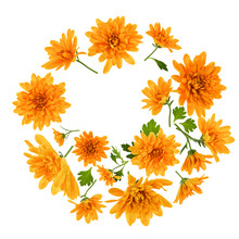 Chrysanthemum  Flowers Composition. Round Frame Made Of Orange Flowers On White Background, Without Shaddows. Festive Background. Flat Lay, Top View.