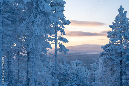 Snow covered trees with sunset landscape in Levi ski resort in Kittilä, Finland Tableau sur Toile