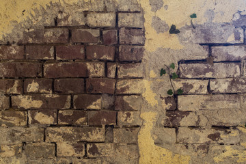 Wall Mural - empty old brick wall texture. painted distressed wall surface. grungy wide brickwall. grunge red sto