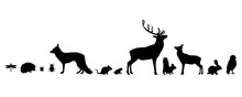 Illustration Of Set Forest´s Animals Icon. Vector Silhouette On White Background.
