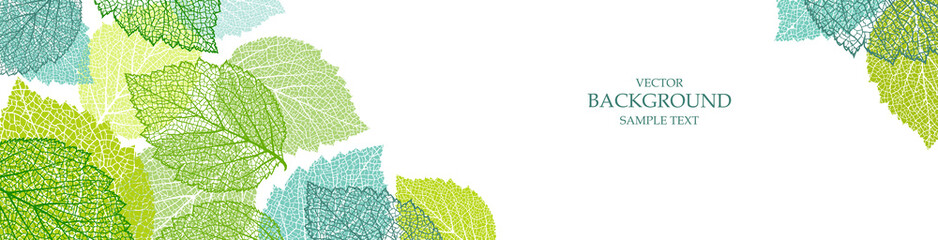 Wall Mural - background with blue and green leaves. nature banner. frame with plants. template