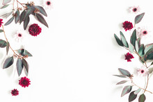 Flowers Composition. Eucalyptus Leaves And Pink Flowers On White Background. Flat Lay, Top View, Copy Space