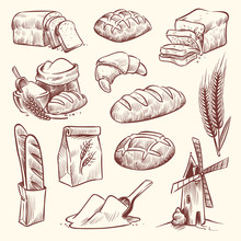 Bread Sketch. Flour Mill Baguette French Bake Bun Food Wheat Traditional Bakery Basket Grain Pastry Toast Slice Set
