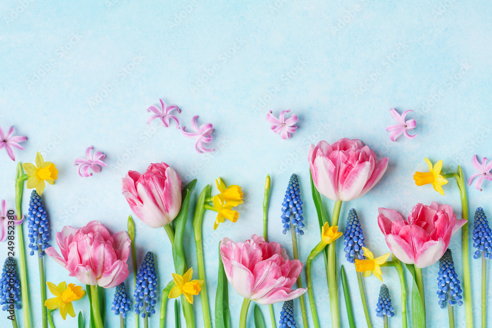 Creative composition of beautiful spring flowers on pastel table top view. Greeting card for International Women Day. Flat lay. - obrazy, fototapety, plakaty 