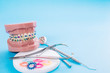 Dentist tools and orthodontic model on blue background.