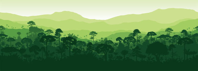 Vector horizontal seamless tropical rainforest Jungle forest background