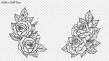 Rose ornament vector by hand drawing.Beautiful flower on transparent background.Arthur Bell rose vector art highly detailed in line art style.Flower tattoo for paint or pattern.
