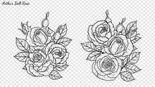 Rose Ornament Vector By Hand Drawing.Beautiful Flower On Transparent Background.Arthur Bell Rose Vector Art Highly Detailed In Line Art Style.Flower Tattoo For Paint Or Pattern.