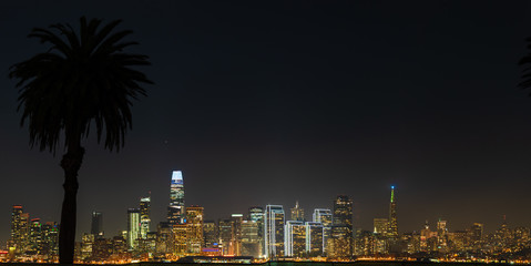 Wall Mural - San Francisco city panorama at night.