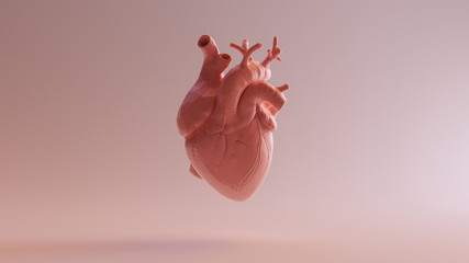 pink porcelain anatomical heart 3d illustration 3d render