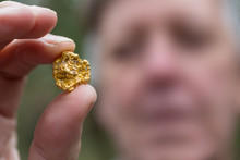 Unidentifiable Man Looking At A Gold Nugget Found While Prospecting In Victoria Australia