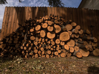 Pile of firewood