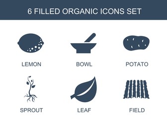 Poster - 6 organic icons