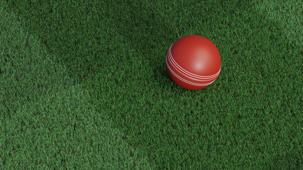 Up view of a Cricket ball put on a well-cut lawn