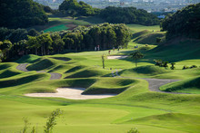 Nice Green Grass Golf Course. Golf Club