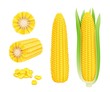 Corn cob realistic. Yellow canned fresh corn vegetables harvest sweetcorn vector template. Illustration of corn vegetable, realistic nutrition