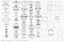Collection Of Vector Calligraphic Elements, Flourishes And Page Decorations, Mega Set For Design