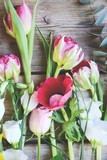 Fototapeta Tulipany - Frühlingsblumen - Blumenstrauß bunt mit Tulpen - Muttertag , Ostern...