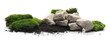 Leinwandbild Motiv Green moss with dirt, soil and decorative stone, rock isolated on white background