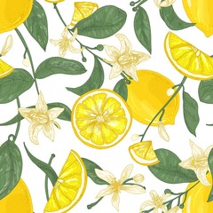 Aufkleber - Seamless pattern with fresh juicy lemons, whole and cut into pieces, flowers and leaves on white background. Backdrop with citrus fruits. Botanical vector illustration in antique style for wallpaper.