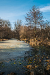 Wall Mural - Sunny meadow in early spring. Frozen lake and poplar trees