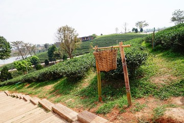 Poster - bench in the park