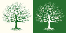Set Of Two Silhouettes Of A Bare Tree . Vector Illustration.
