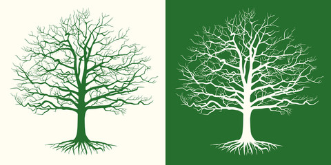 Wall Mural - Set of two silhouettes of a bare tree . Vector illustration.