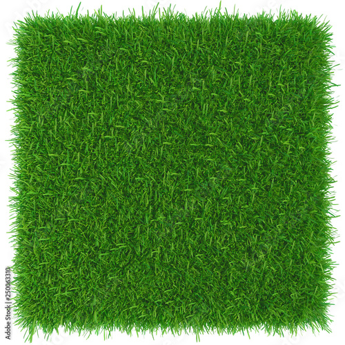 Grass Background Texture Fresh Grass 3d Rendering Adobe Stock でこのストック イラストを購入して 類似のイラストをさらに検索 Adobe Stock