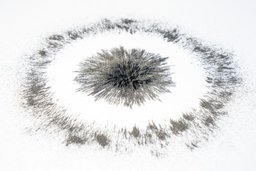 strong circle radial magnetic under the black iron powder magnetic field on white background. scient
