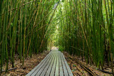 Fototapeta  - Weg durch den verregneten Bambuswald