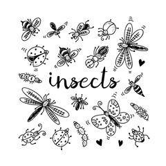 Poster - Insects doodle set, vector collection isolated on white background