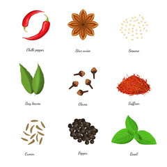 Canvas Print - Realistic 3d Detailed Classic Spices Collection. Vector