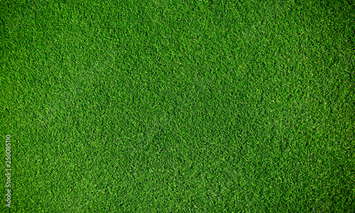 Fotomural Artificial grass background
