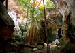 Collapsed Roof of The Cathedral Cave on Bahama Island of Eleuthera