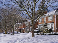 Snow Covered Suburban Houses On A Treelined Street