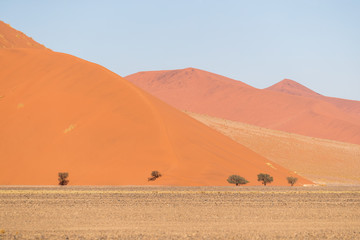 Wall Mural - African landscape, beautiful red sand dunes and nature of Namib desert, Sossusvlei, Namibia, South Africa