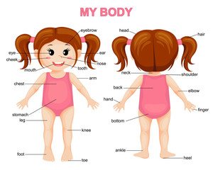 My body. Cute cartoon girl. Body parts poster