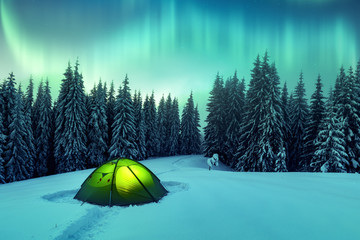aurora borealis. northern lights in winter forest. sky with polar lights and stars. night winter lan