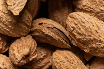 Wall Mural - almonds