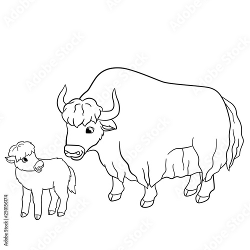 Download Coloring Pages Yak