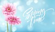 Gerbera Flower Background and Spring time Lettering. Vector Illustration