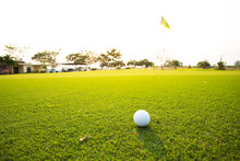 Green Grass With Golf Ball Close-up In Soft Focus At Sunlight. Sport Playground For Golf Club Concept