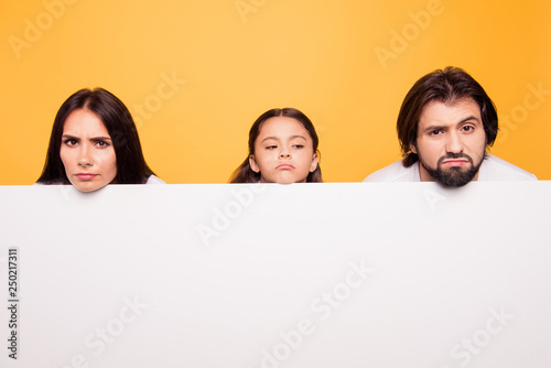 images Yellow Background Pastel Portrait adobe stock