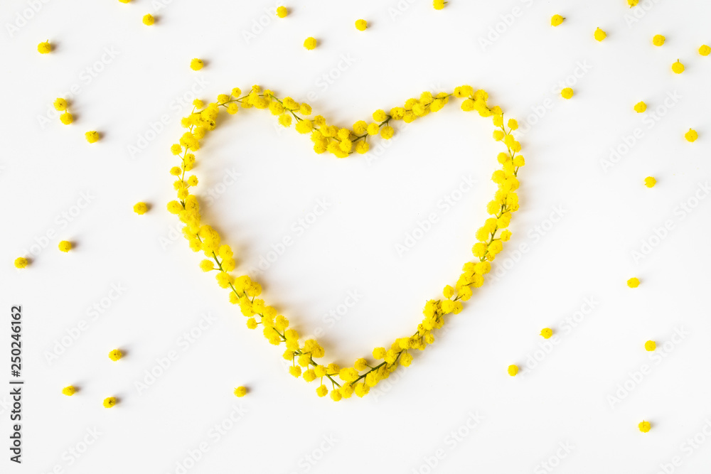 Festa della Donna 8 Marzo, simbolo del cuore fatto con fiori Mimosa giallo su uno sfondo bianco. - obrazy, fototapety, plakaty 